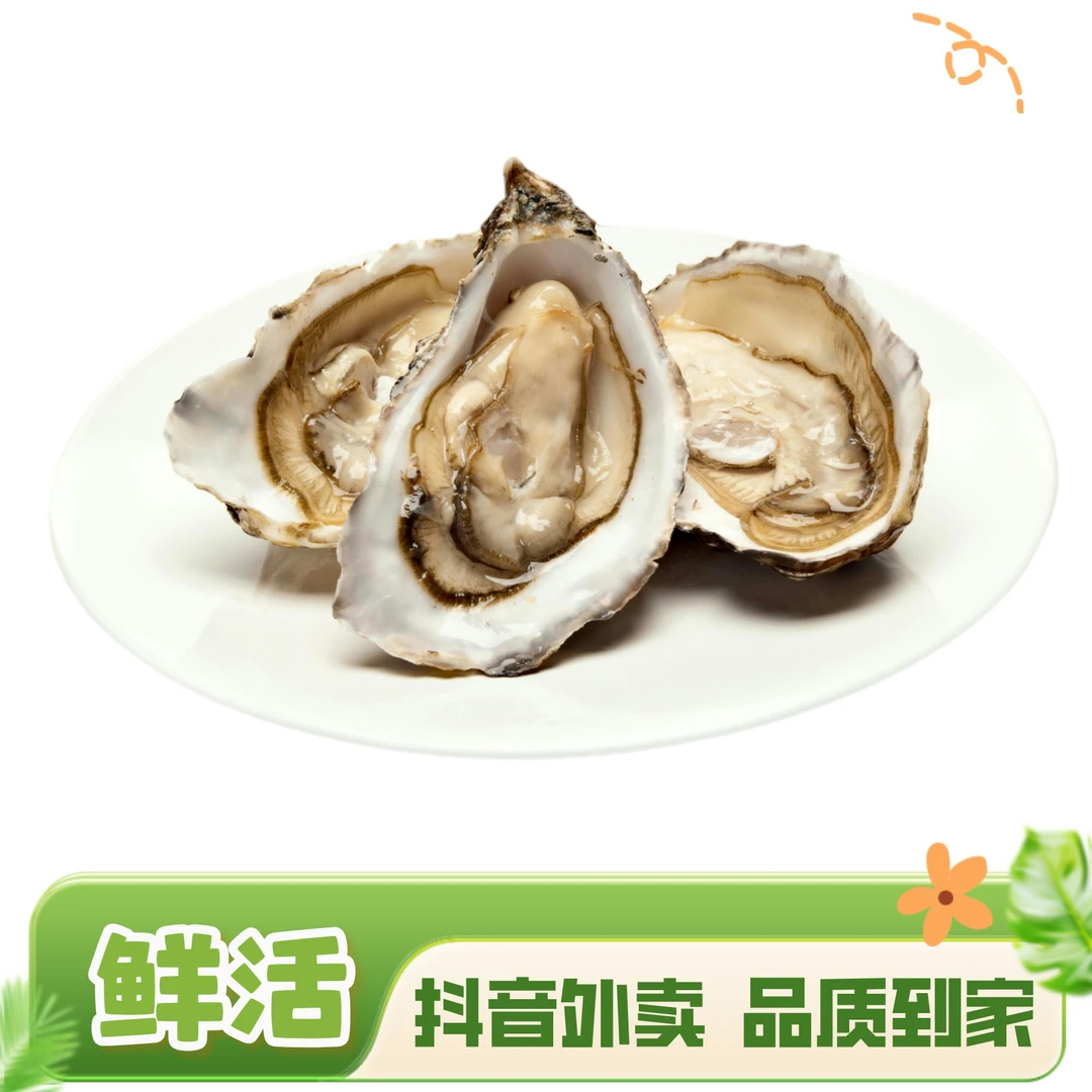 鲜活乳山生蚝 2两-8两一只 默认翘壳