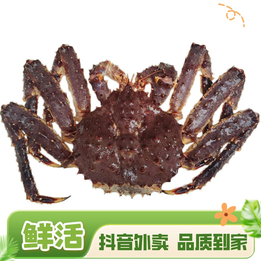【活蟹】阿拉斯加帝王蟹 3.5~3.7斤 1只 鲜活打氧配送