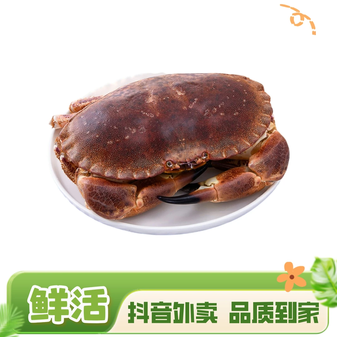 鲜活面包蟹 鲜活到家