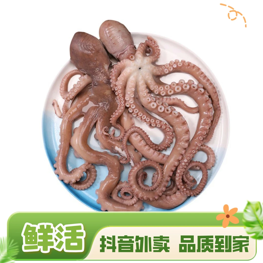 鲜活八爪鱼 约500g（2-4只）