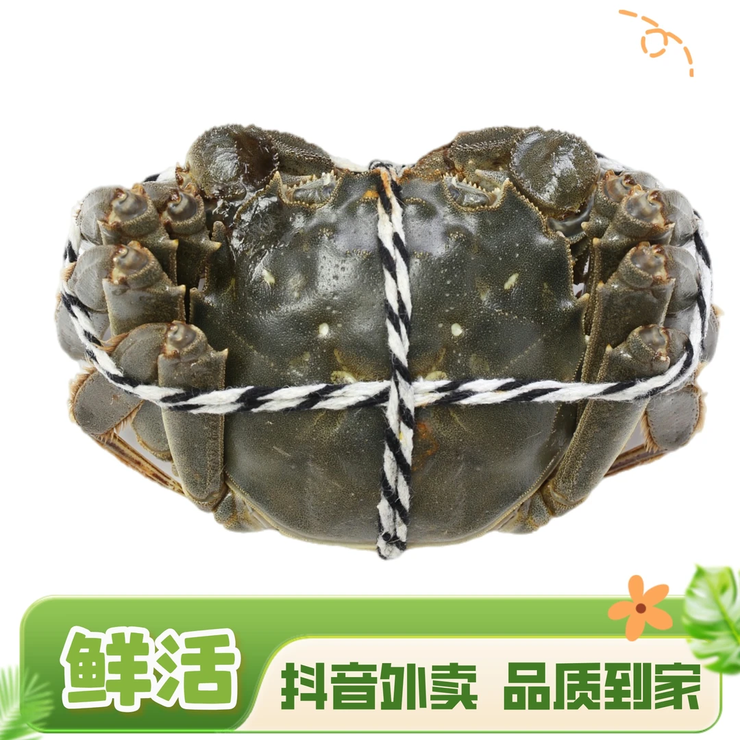 【活蟹】4两红膏母蟹3.6~4.2两 1只