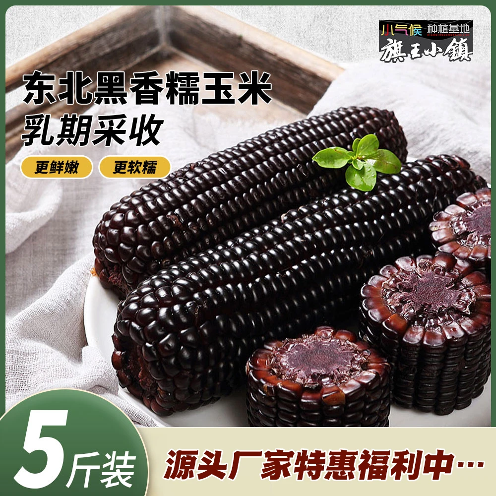 【粒姐严选】黑香糯香甜东北糯玉米天然香糯软糯蒸煮榨汁新鲜食用