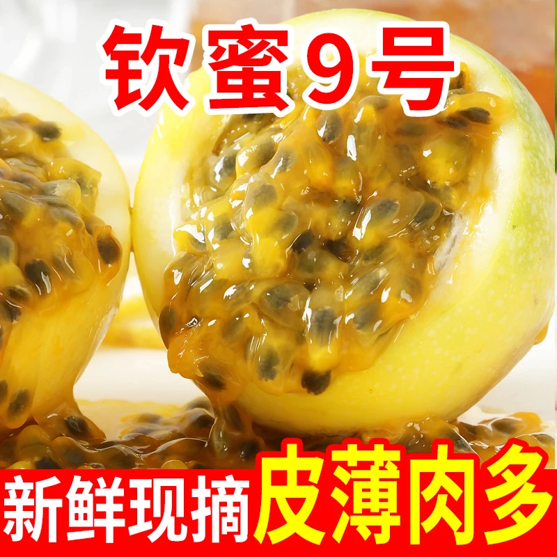黄金百香果钦蜜9号酸甜可口树上熟现摘新鲜水果百香果（12枚/小果）