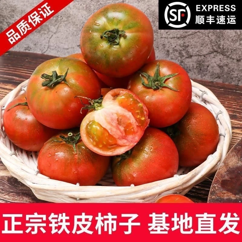 精品草莓西红柿5斤3斤新鲜酸甜可口绿腚番茄现摘现发水果优选