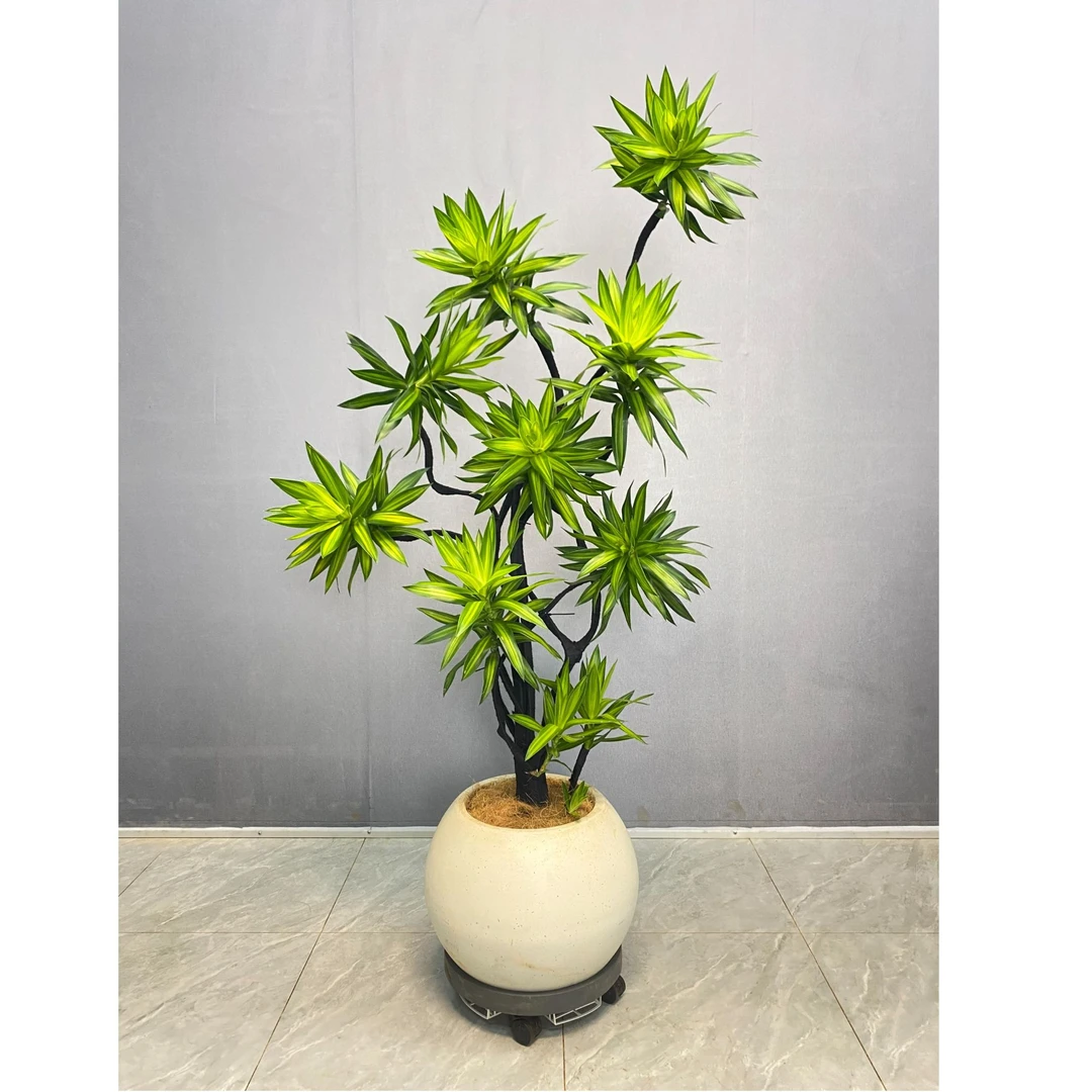金心百合竹大型造型款室内客厅绿植北欧风家具植物 美观净化空气