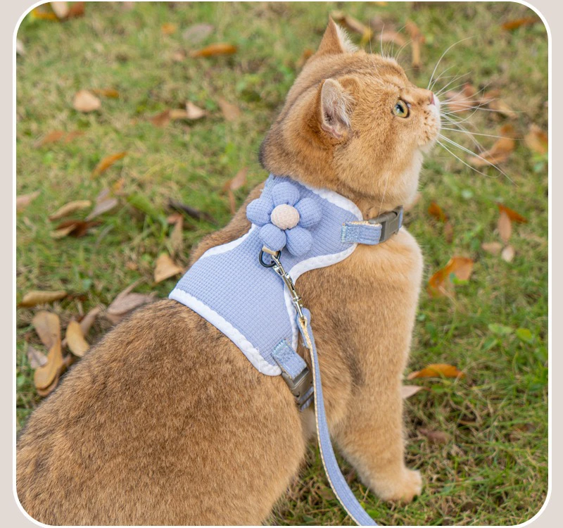 猫咪牵引绳背心式工字型（备注尺码颜色）