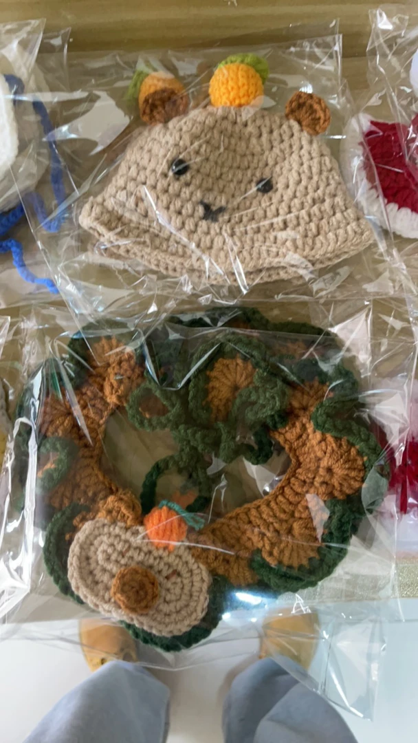 宠物套装   猫用