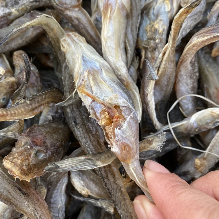 山东发货 籽鱼五斤（偏远地区不包邮）