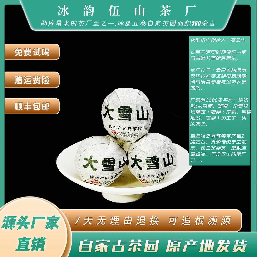 BDYW冰韵伍山 24年春 大雪山（三家村）古树龙珠 普洱生茶