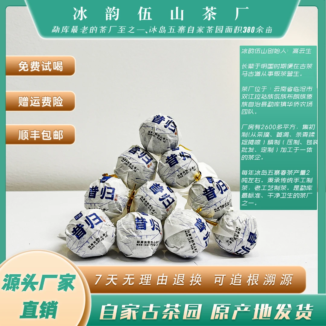 冰韵伍山 昔归老树龙珠 23年春 8g 普洱生茶