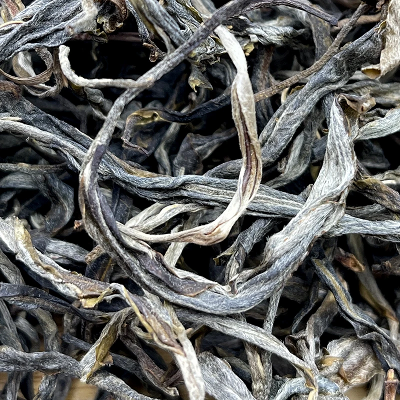 冰韵伍山 坝糯藤条古树春 2023年春  普洱生茶