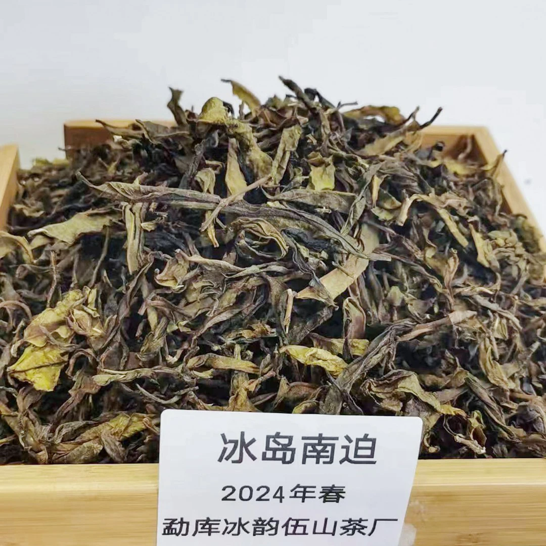 冰韵伍山 24年春 冰岛南迫（未挑黄片）100g~500g散茶  普洱 生茶