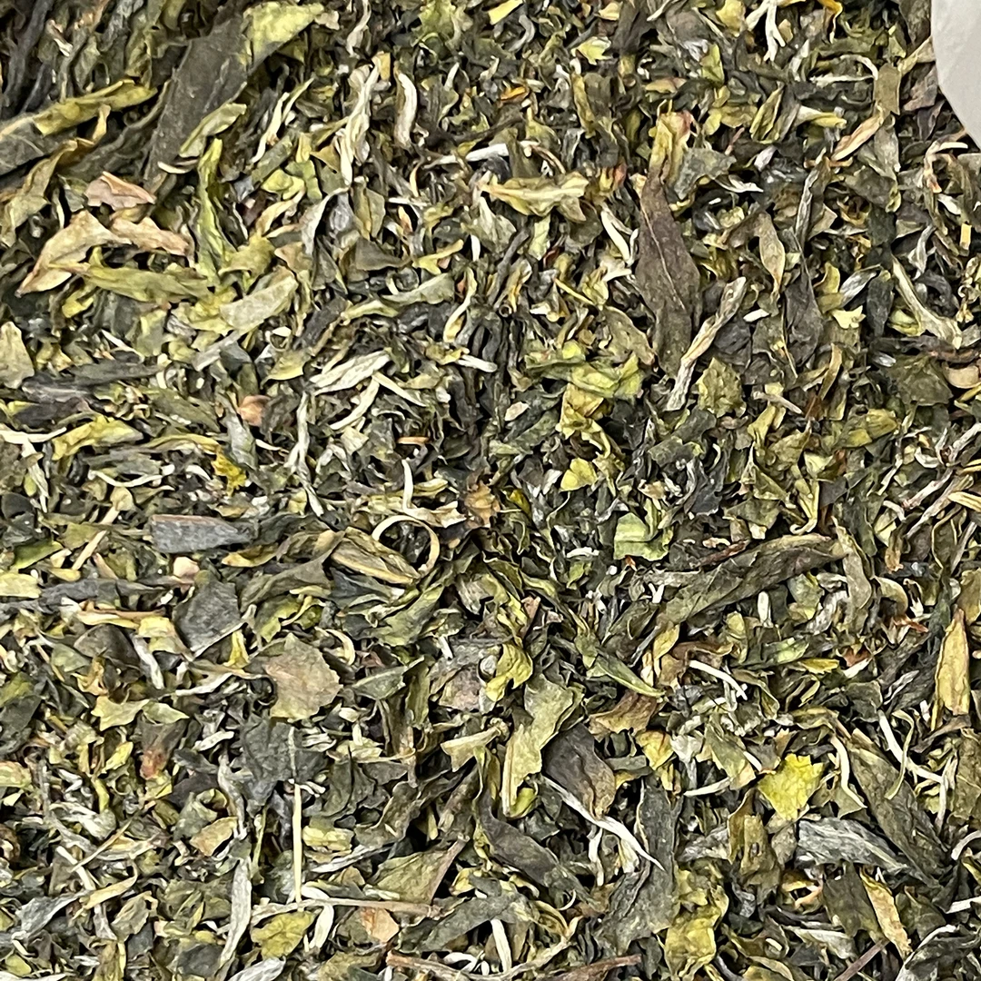 BDYW冰韵伍山  冰岛老寨大树茶沫沫（拉新涨粉爆款）散料茶厂原味