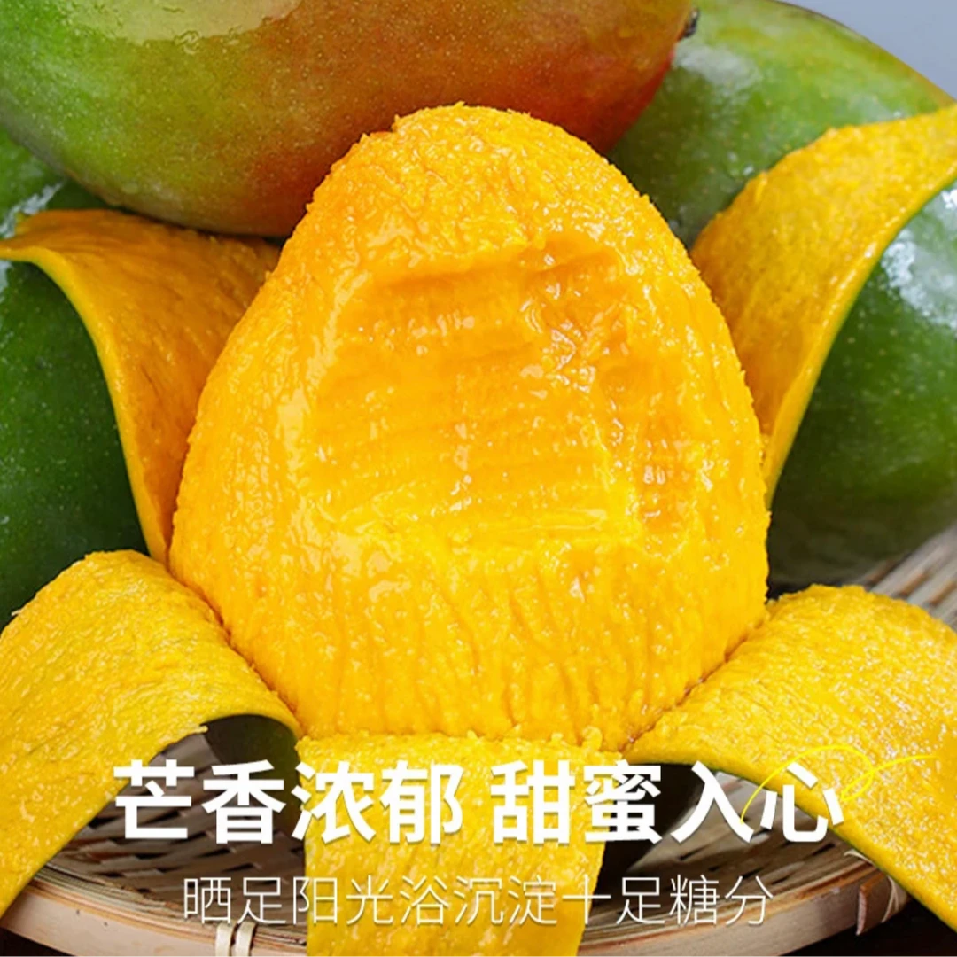 【催熟后食用 】攀枝花凯特芒果新鲜水果产地现摘现发带箱5斤装