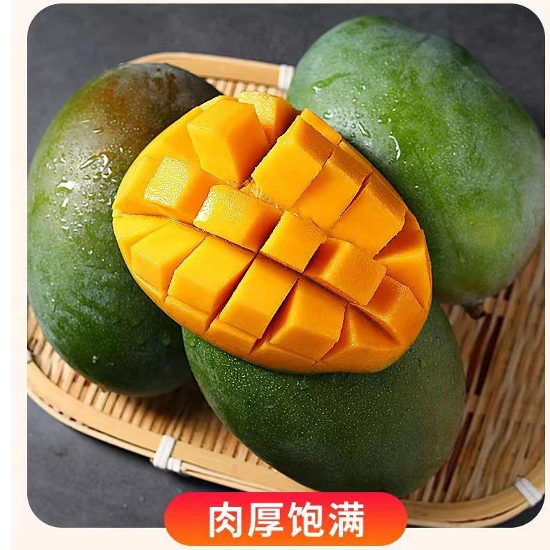 【催熟后食用 】攀枝花凯特芒果新鲜水果产地现摘现发 带箱4斤装