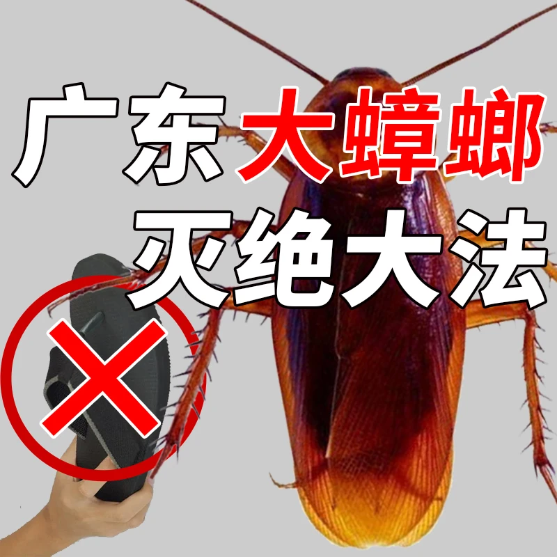 深圳蟑螂药灭除蟑螂家用非无毒室内卧室床上杀蟑螂臭虫喷雾剂免洗