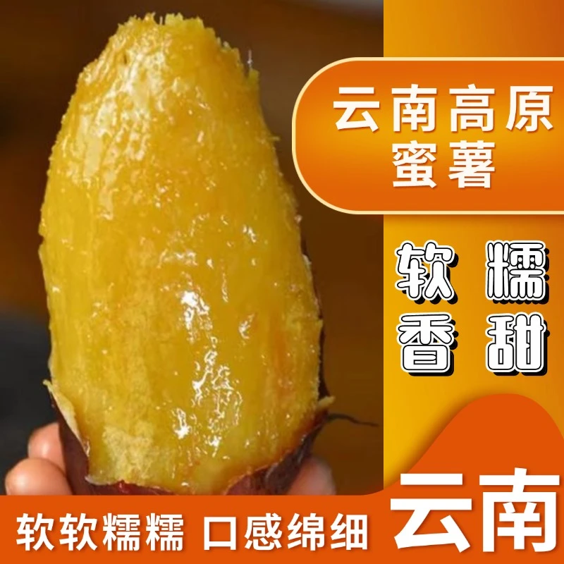 云南高原榴莲蜜薯软糯香甜现挖现发散货5斤/9斤礼盒装5斤农家自种