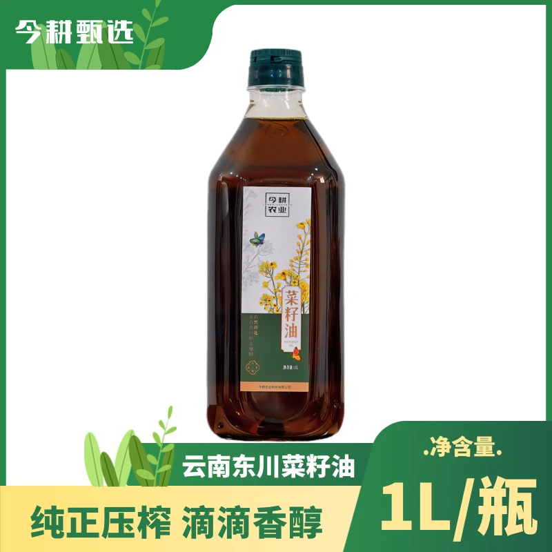 云南东川菜籽油非转老品种初榨菜油云南高寒山区农家自榨