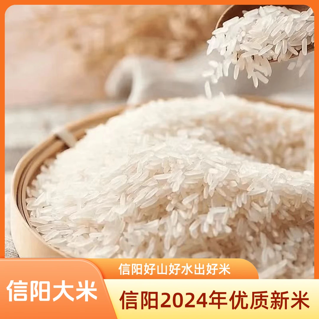 信阳2024年优质新大米信阳好山好水出好米1斤5斤10斤装