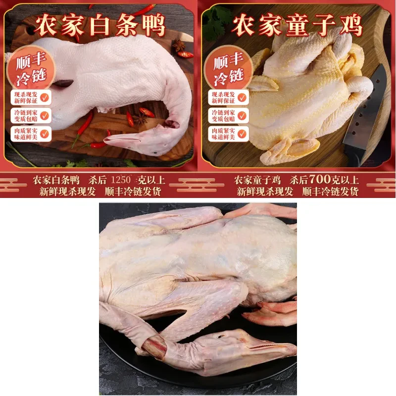 1只白条鸭1250g1只大雁鹅1250g1只童子鸡700g深山散养溜达鸡鸭鹅