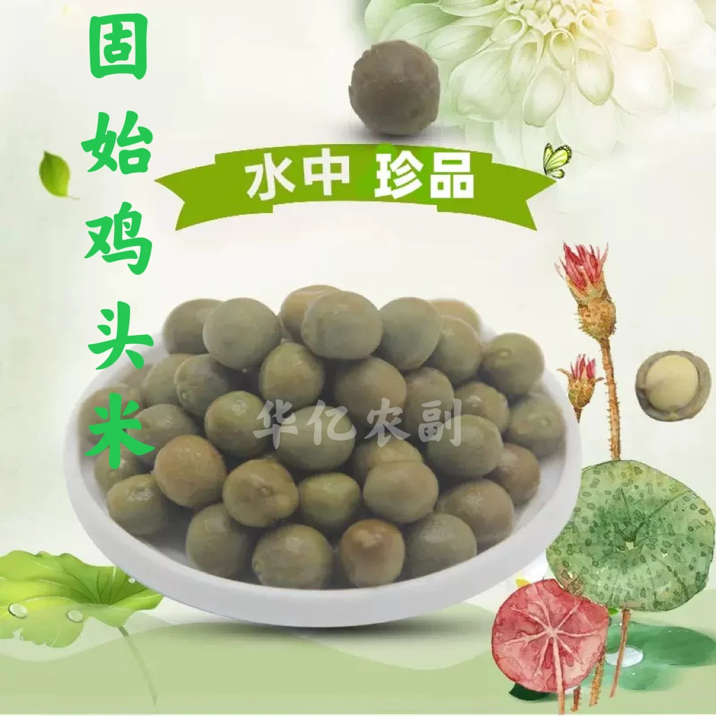 固始鸡头籽农产品 当季新鲜果 带壳鸡头籽500克包邮