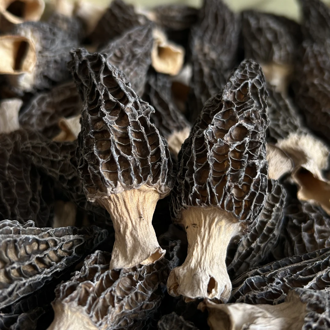 野鹤 | 云南高黎贡山羊肚菌（100g/250g/500g）