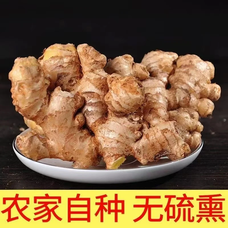 云南新鲜老品种姜（3斤姜）