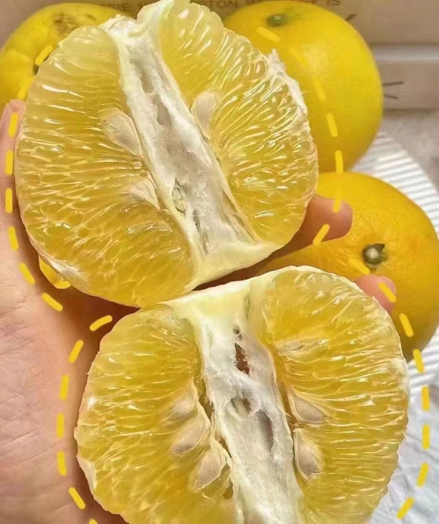 爆汁葡萄柚 1 袋（3～4 个）约 2.5 斤