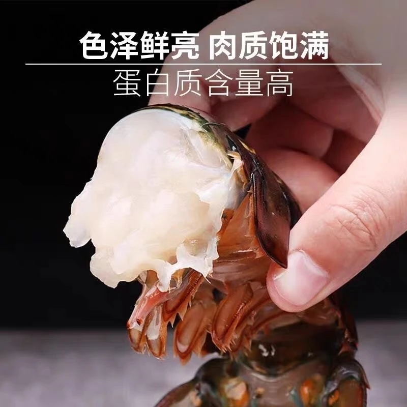 古巴龙虾尾(有5％冰衣）