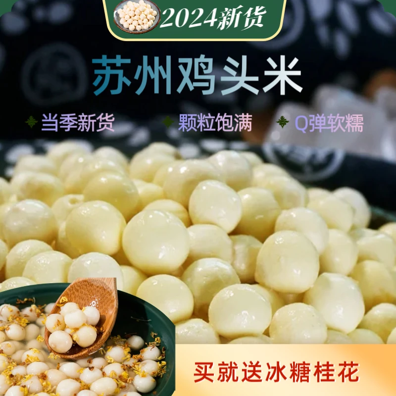 【小兰】精品大果 2025苏州新鲜芡实鸡头米 农家产地直发
