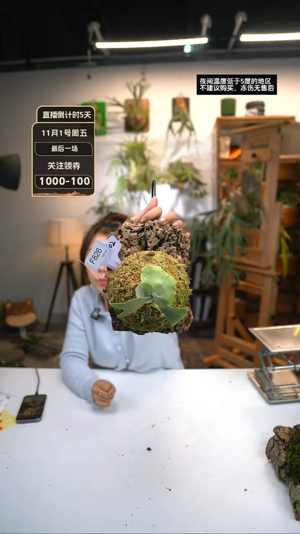 【闪购商品】F826-月光t02（侧