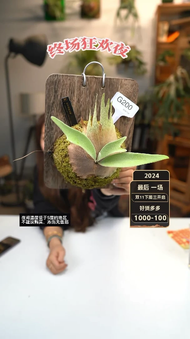 【闪购商品】G200-金刚狼