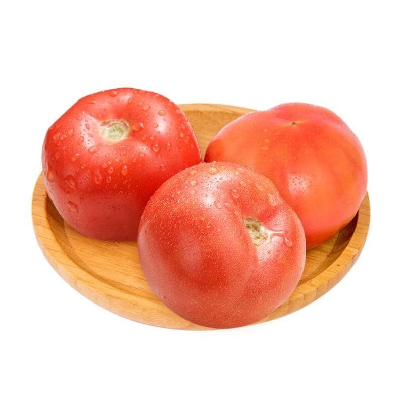 普罗旺斯番茄500g±50g番茄同城配