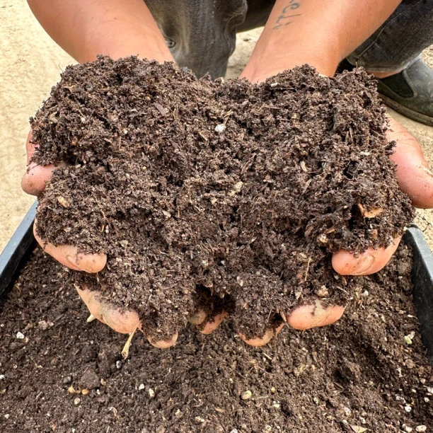 月季花卉营养土5斤