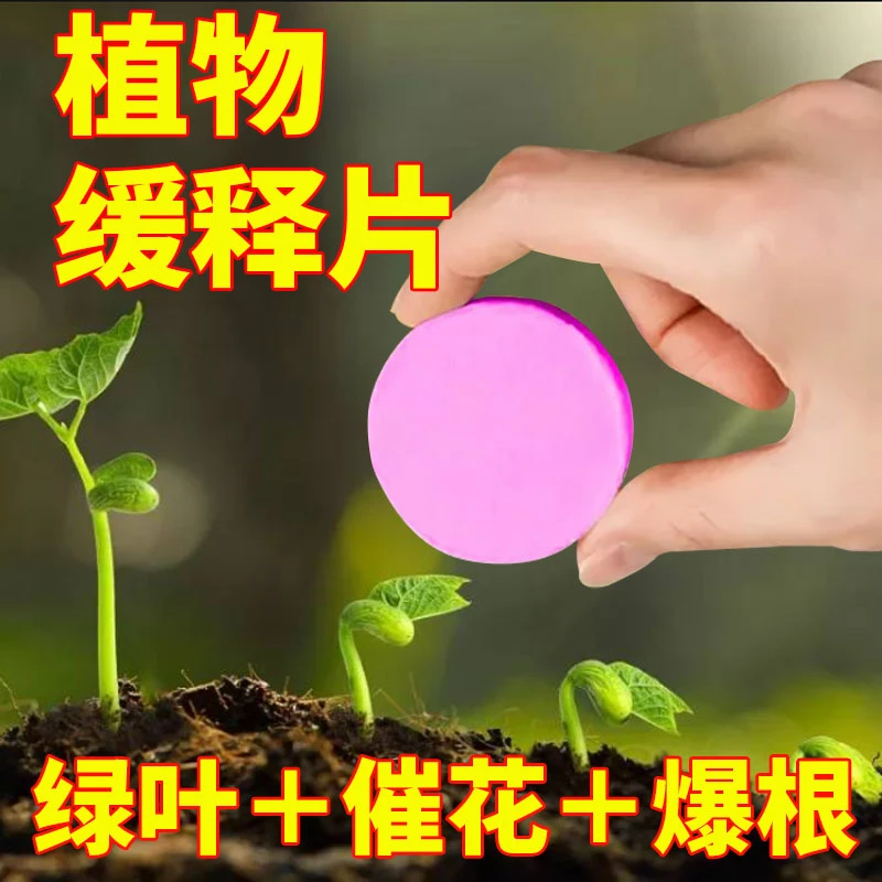 【氮磷钾营养缓释片】植物绿植花卉养花补充氮磷钾肥多肉盆栽肥料