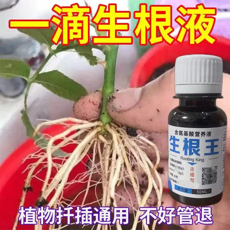 快速生根液壮苗粉剂植物通用营养液专用多肉绿萝花卉扦插强力生根