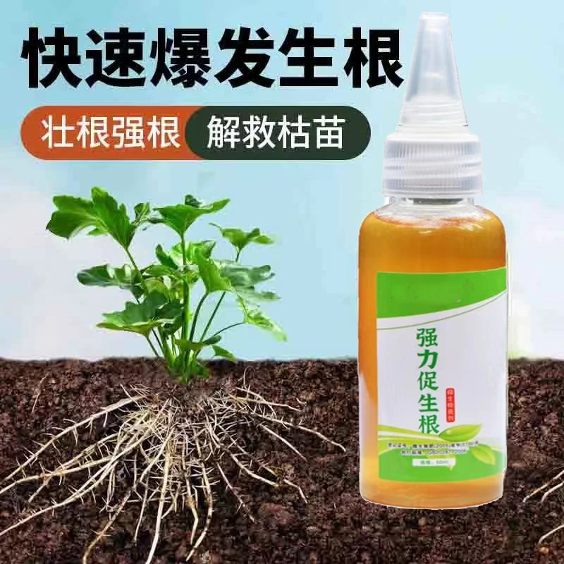 强力生根液快速生根壮苗剂植物通用营养液多肉绿萝花卉扦插生根剂
