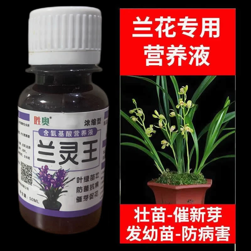 兰花强力爆芽素爆芽王兰花营养液生根壮根催芽爆芽增肥专用叶面肥