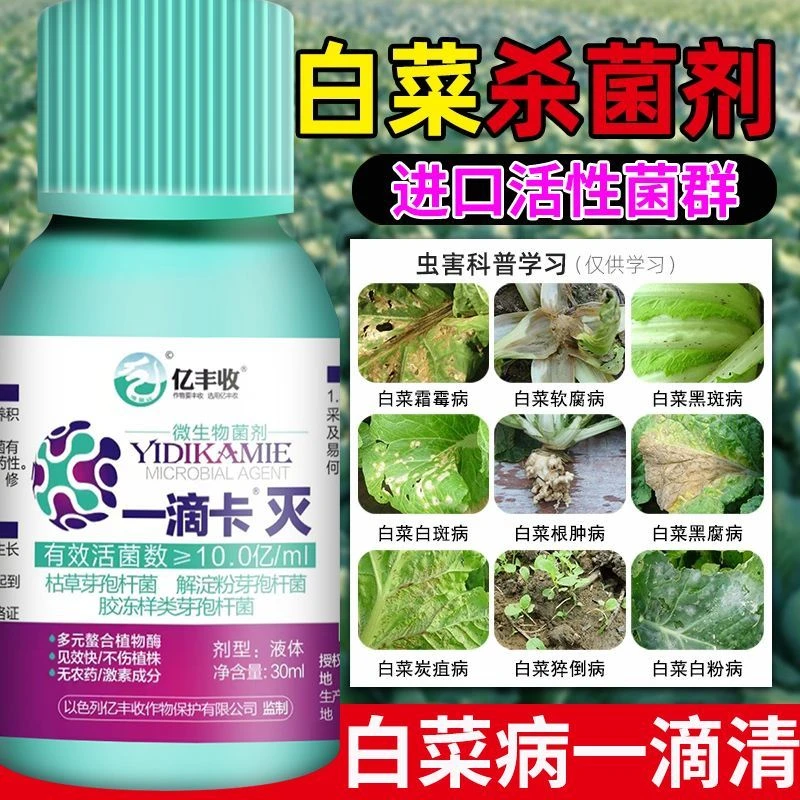 白菜防腐防烂药病全治专用药大白菜烂根黄叶腐灰霉病专用杀菌剂