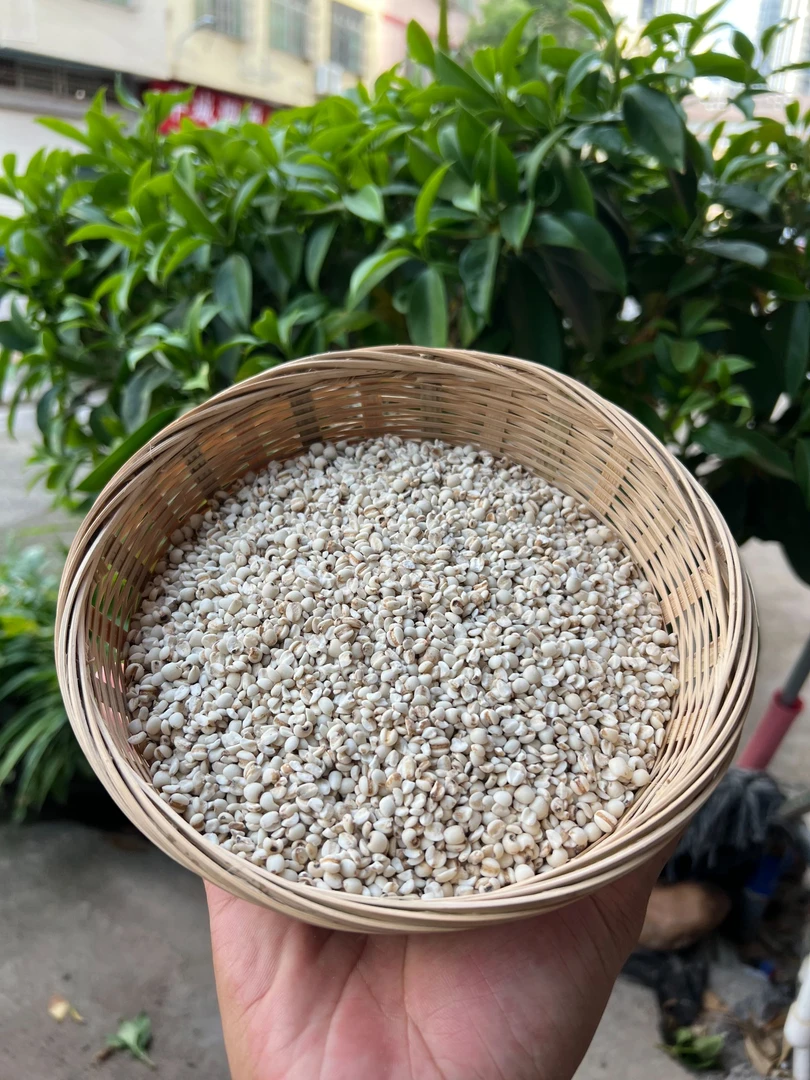 【小谭力推】粤北大山连山本地薏米小薏米薏米仁正宗农家自种1斤2斤