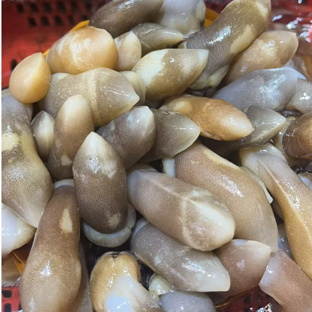 李记海鲜 蛏子王一斤