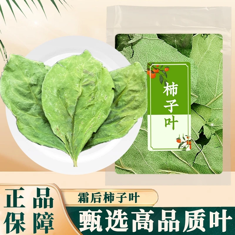 柿子叶新鲜干货柿叶独立包装霜后柿子树叶干货煮水泡水包邮荷叶
