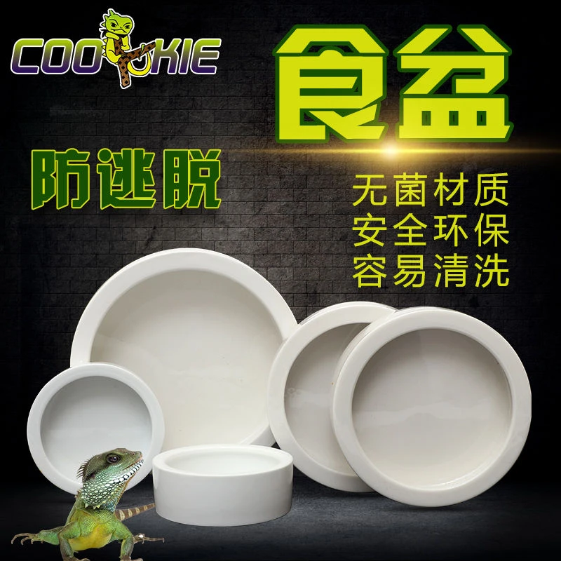 爬虫防逃逸食盆爬宠守宫鬃狮活体饲料面包虫大麦虫角蛙水盆全陶瓷