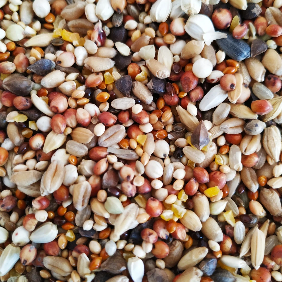 斑鸠粮竹鹧鸪食物仓鼠粮鸽粮山鸡竹鹧鸪粮观赏鸡饲料鸟食粮食鸟粮