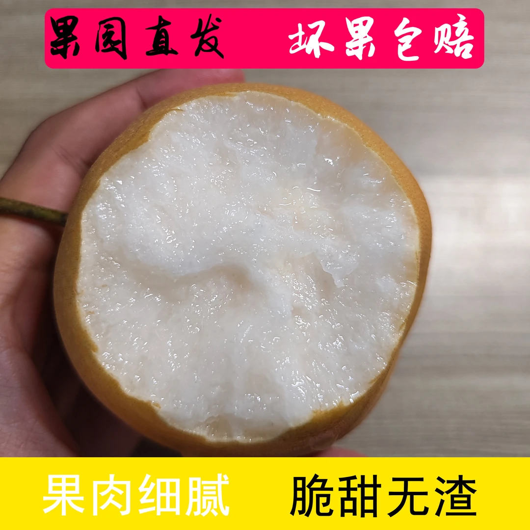朝悦梨园·正宗山东秋月梨~2024头茬精品果·爆甜无渣