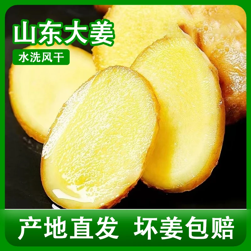 干姜姜块包赔自产本地干净现发老姜母水洗山地产地晾干山东大姜