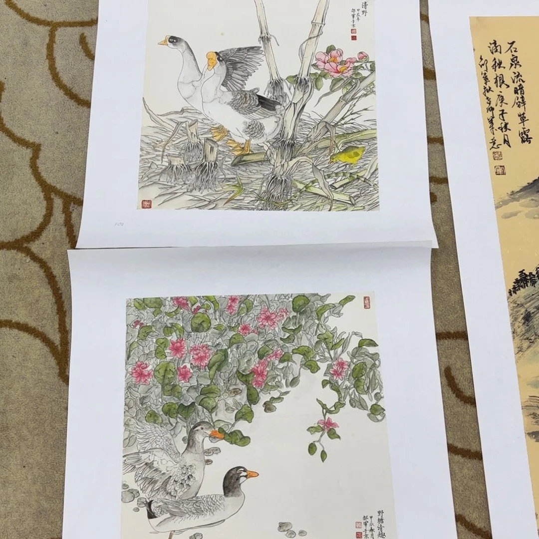 绘画8****-邵军花鸟两张