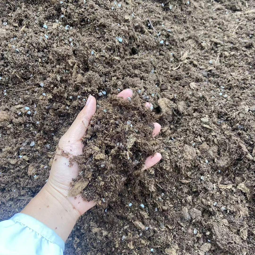 1000克【中益自己调配的营养土】营养土松软透气保水保肥不伤根