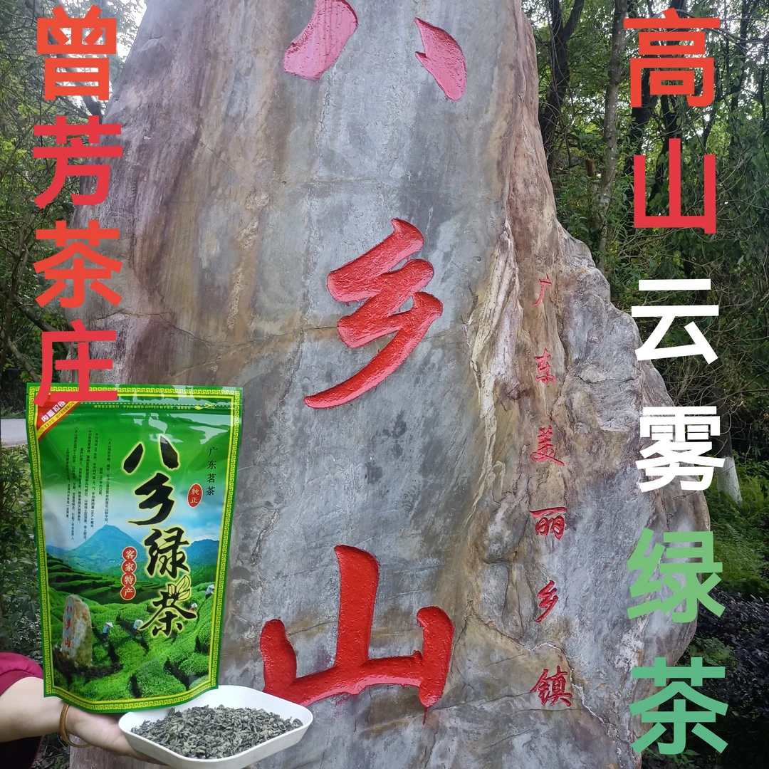 八乡头春高山云雾金萱日照绿茶回甘好耐冲耐泡袋子随机发货