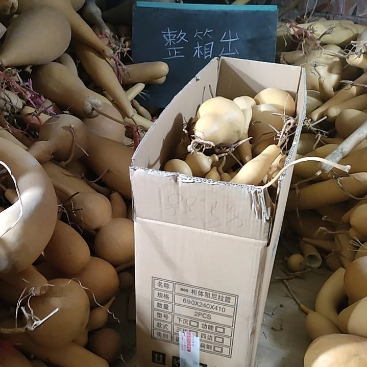 【闪购商品】天然葫芦刘****家